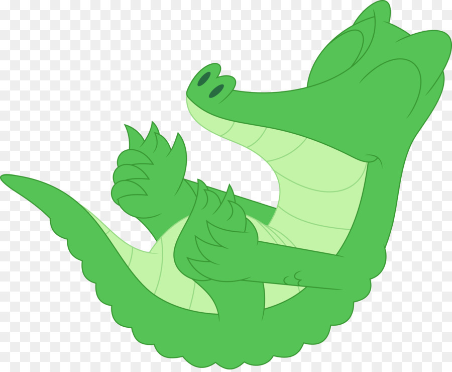 Vertebrada，Fluttershy PNG