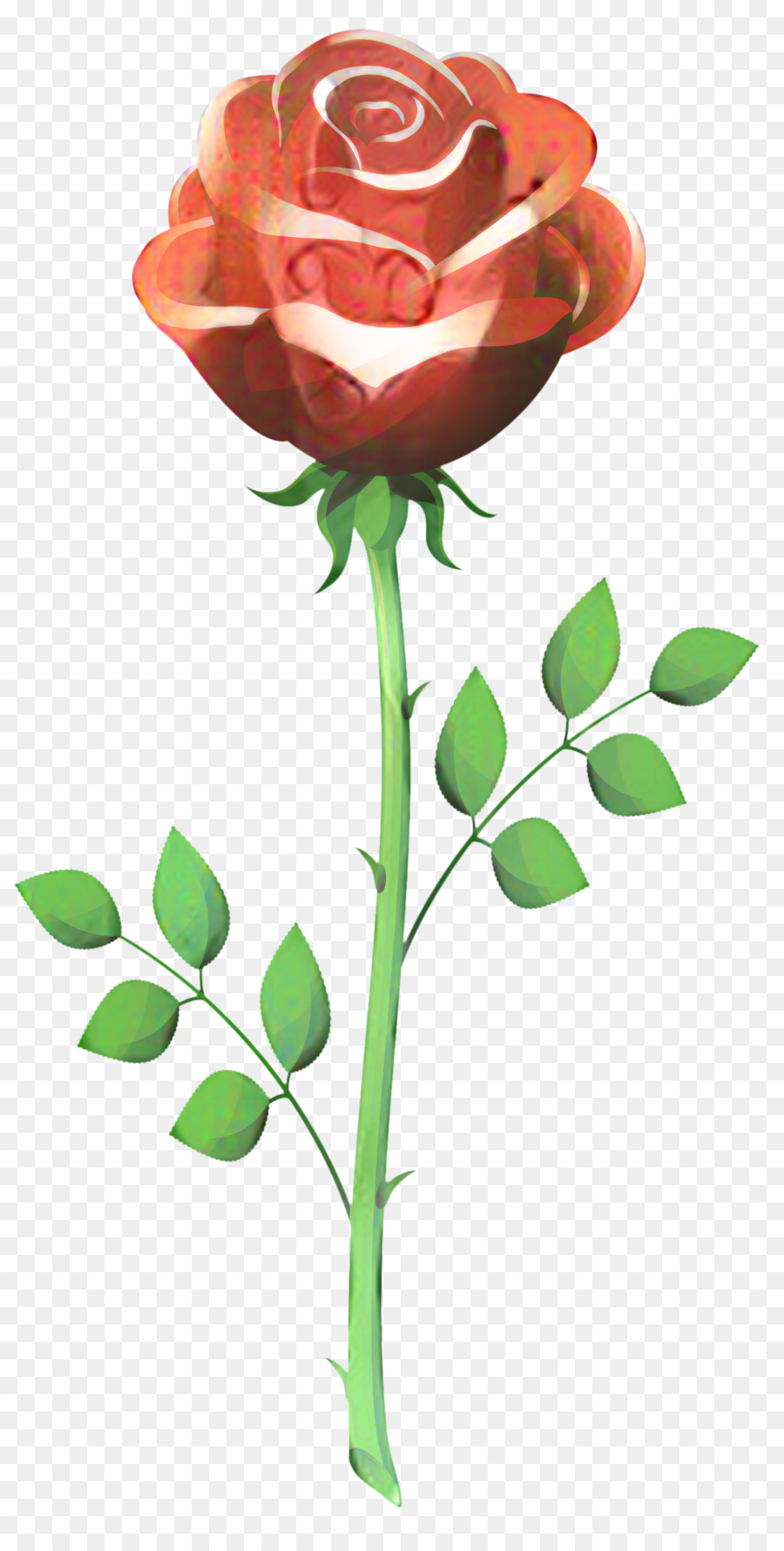 Rosa，Rojo PNG