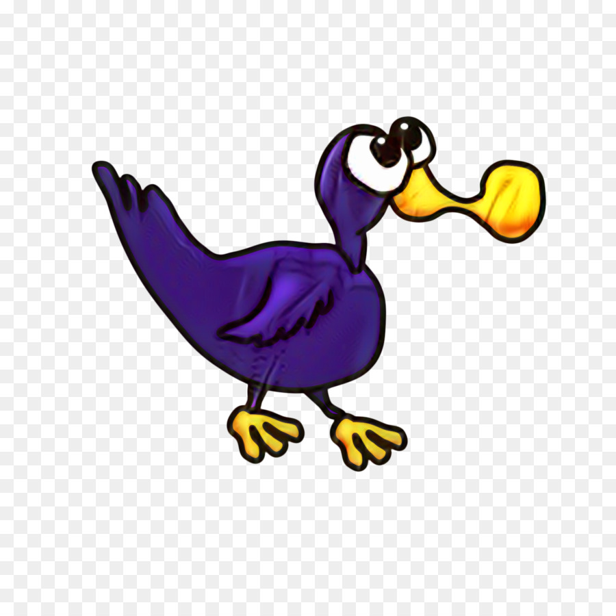 Pato，Aves PNG