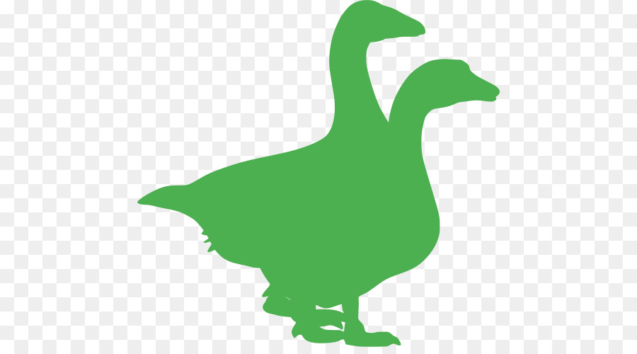 Ganso，Pato PNG