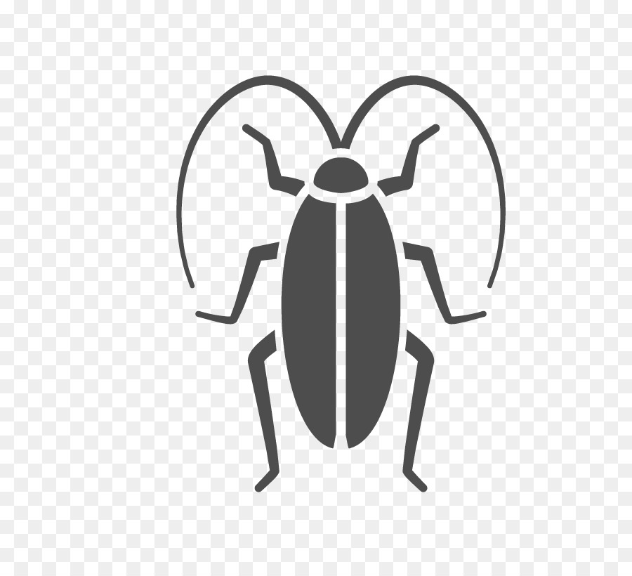 Cucaracha，Los Insectos PNG