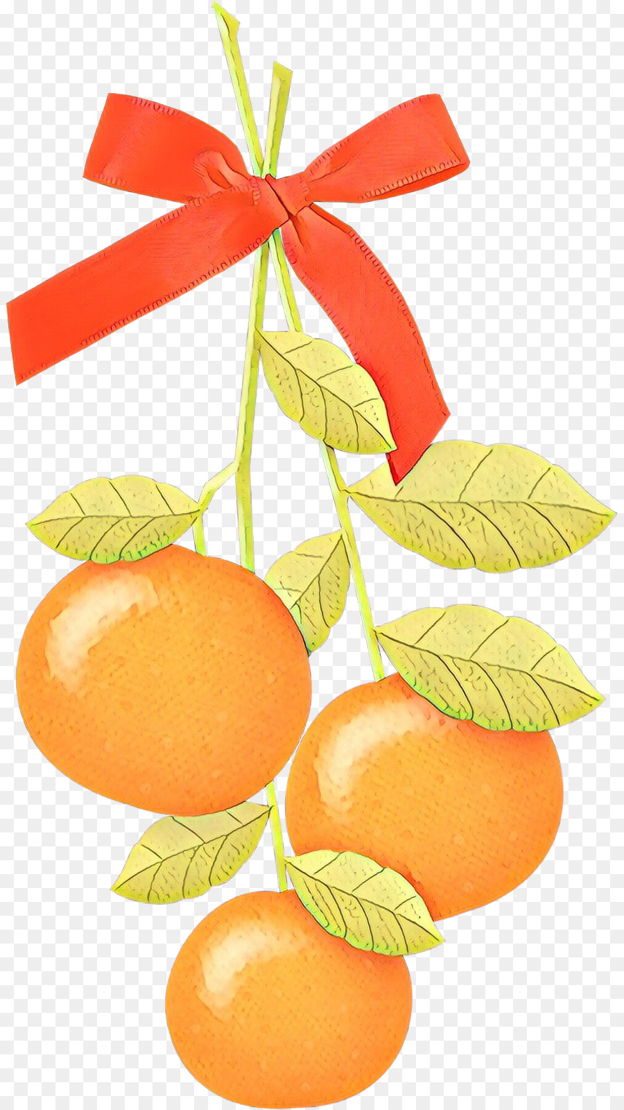 Clementine，Mandarina PNG