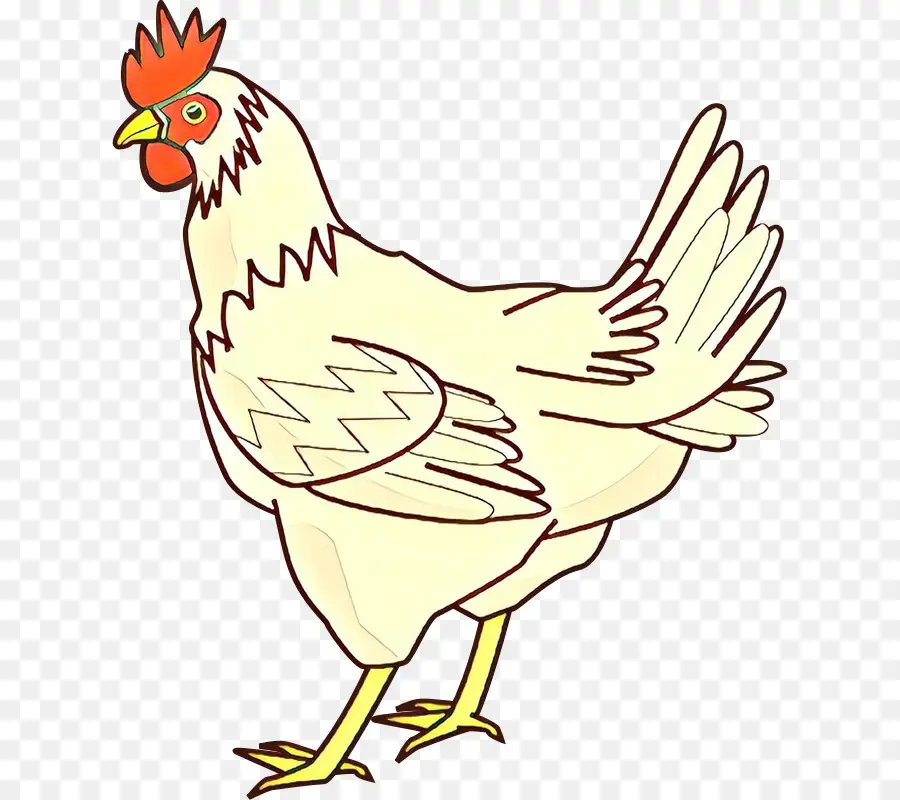 Pollo，Dibujo PNG