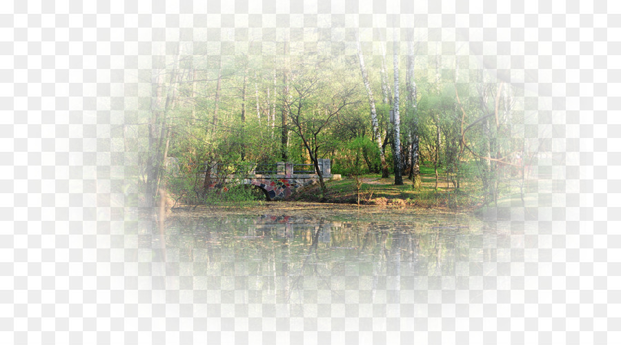 Bayou，Pantano PNG