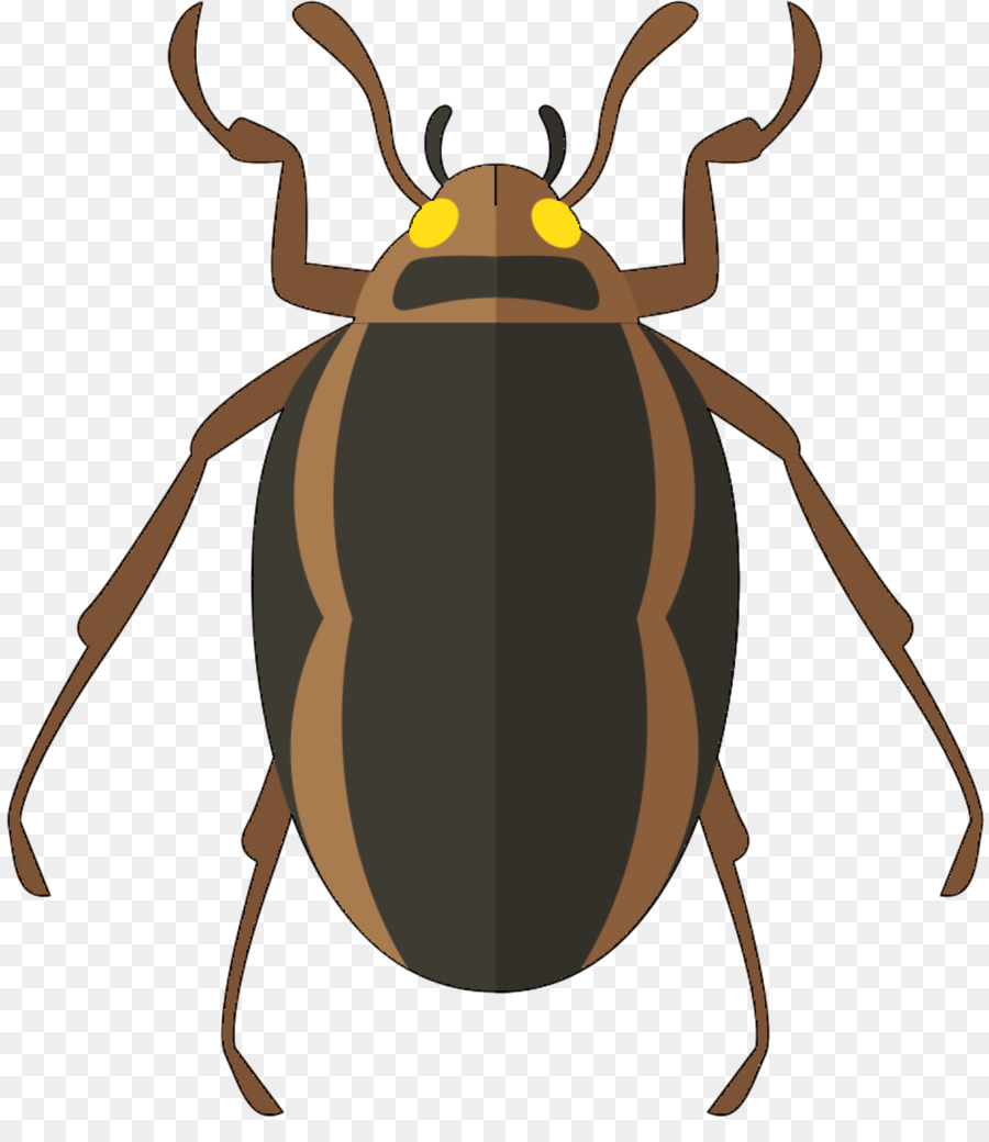 Cucaracha，Escarabajo PNG