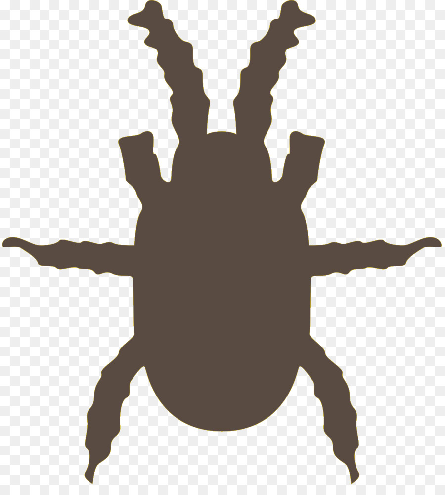 Cucaracha，Los Insectos PNG