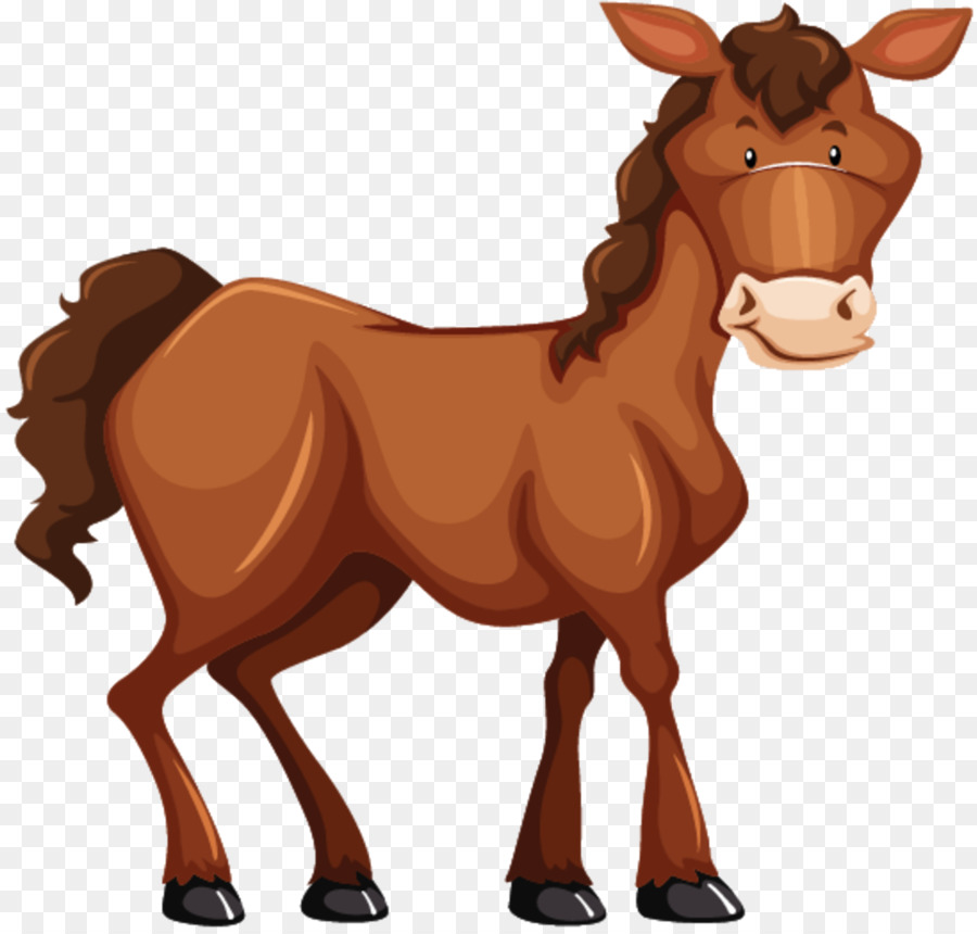 Caballo，Equino PNG