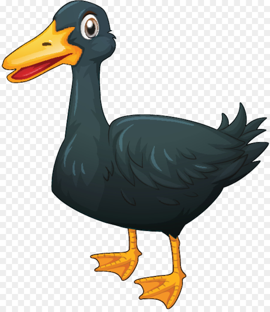 Pato，Royaltyfree PNG