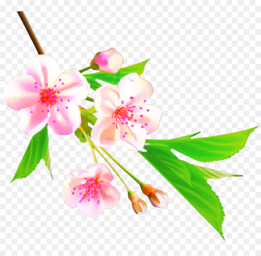 Flor，De Los Cerezos En Flor PNG