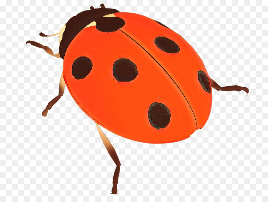 Escarabajo，Lady Bird PNG