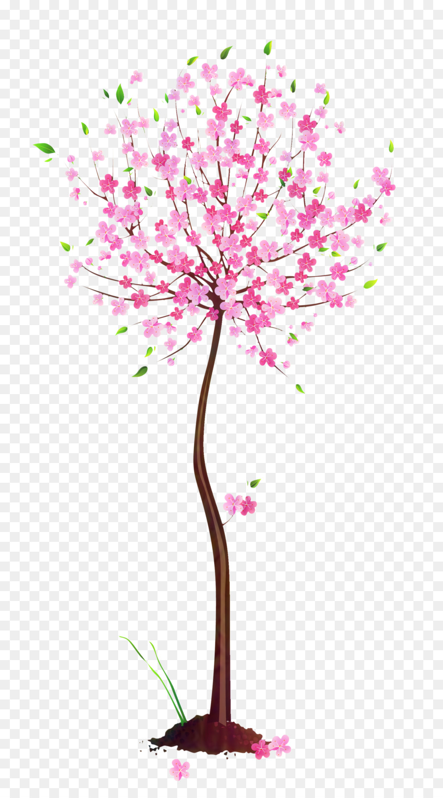 Árbol De Cerezo En Flor，árbol En Flor PNG