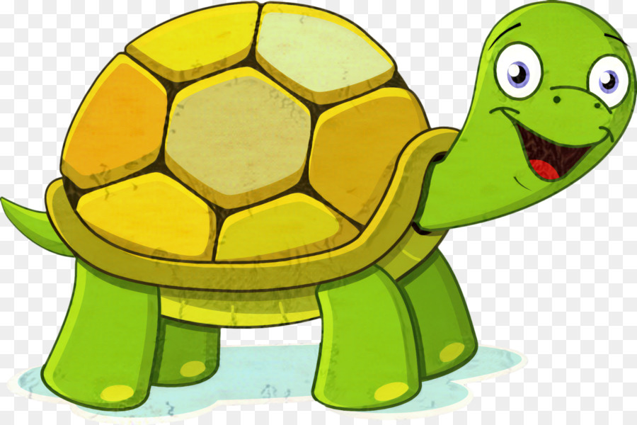 Tortuga Y Caracol De Dibujos Animados，Animal PNG