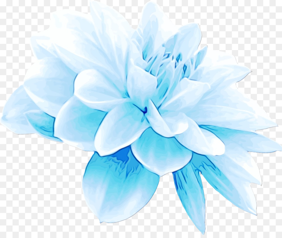 Las Flores Cortadas，Fondo De Escritorio PNG