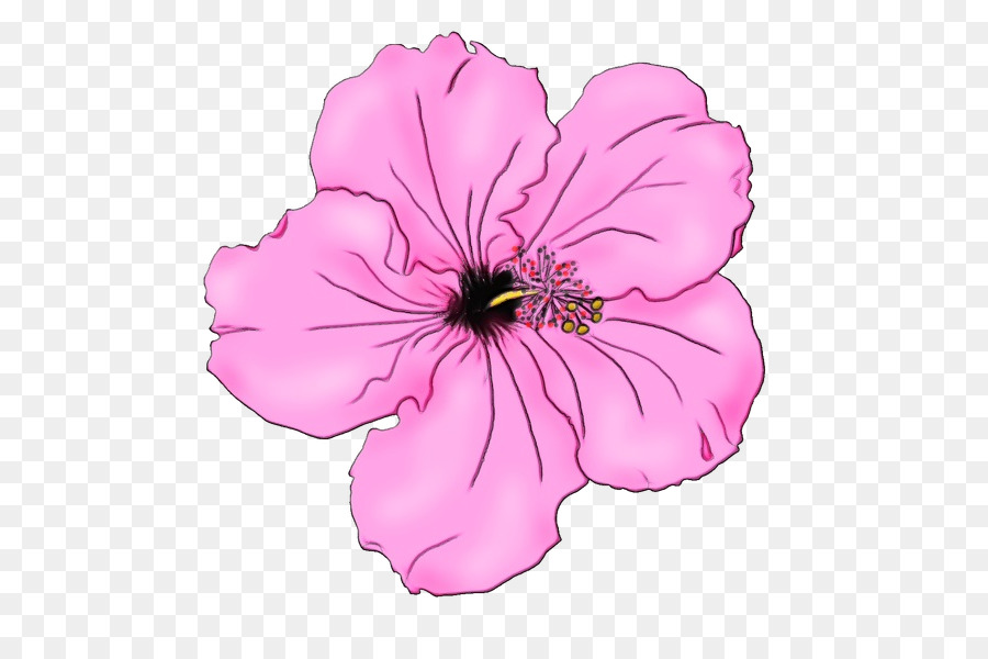 Petunia，Mallows PNG