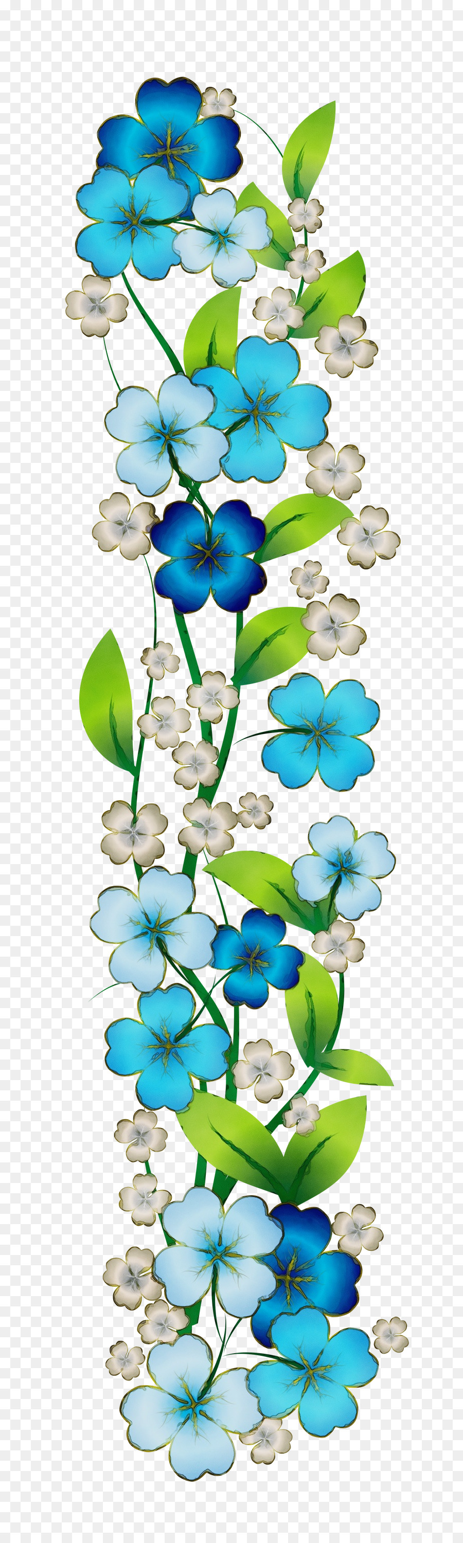 Flores，Florecer PNG