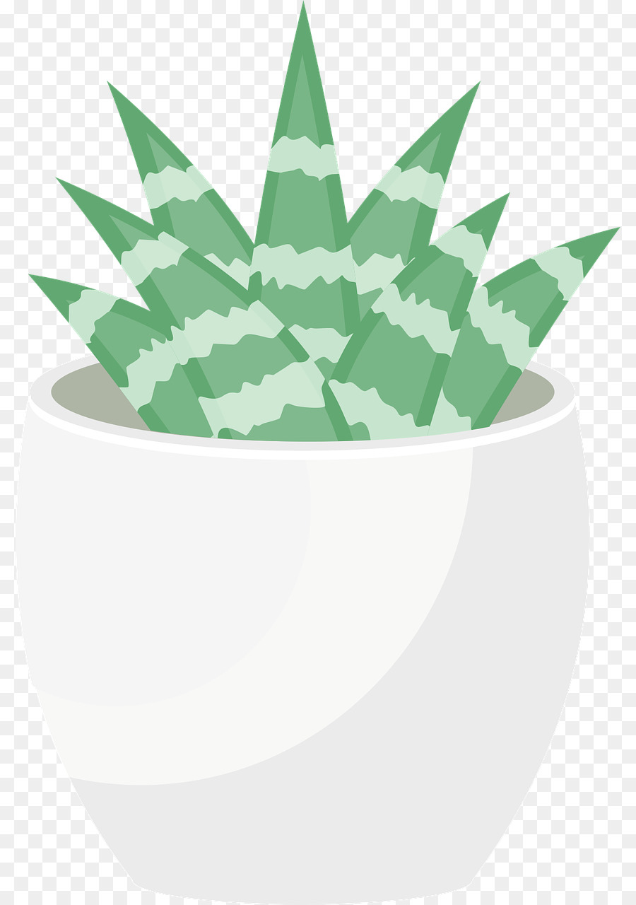 Hoja，Árbol PNG