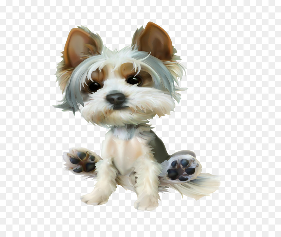 Yorkshire Terrier，Cachorro PNG