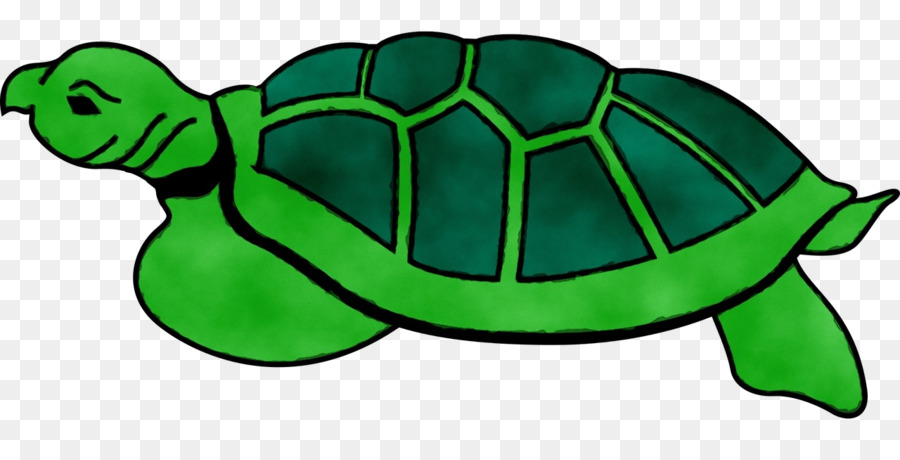 Tortuga，Reptiles PNG