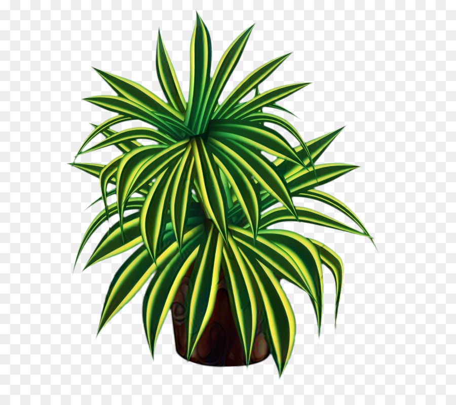 Planta En Maceta，Hojas PNG