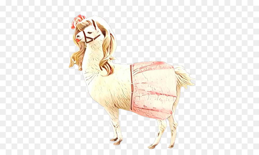 Llama，Cabra PNG