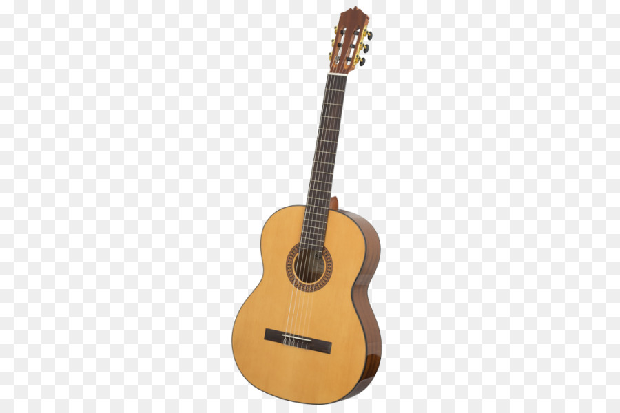 Guitarra，Guitarra Acústica PNG