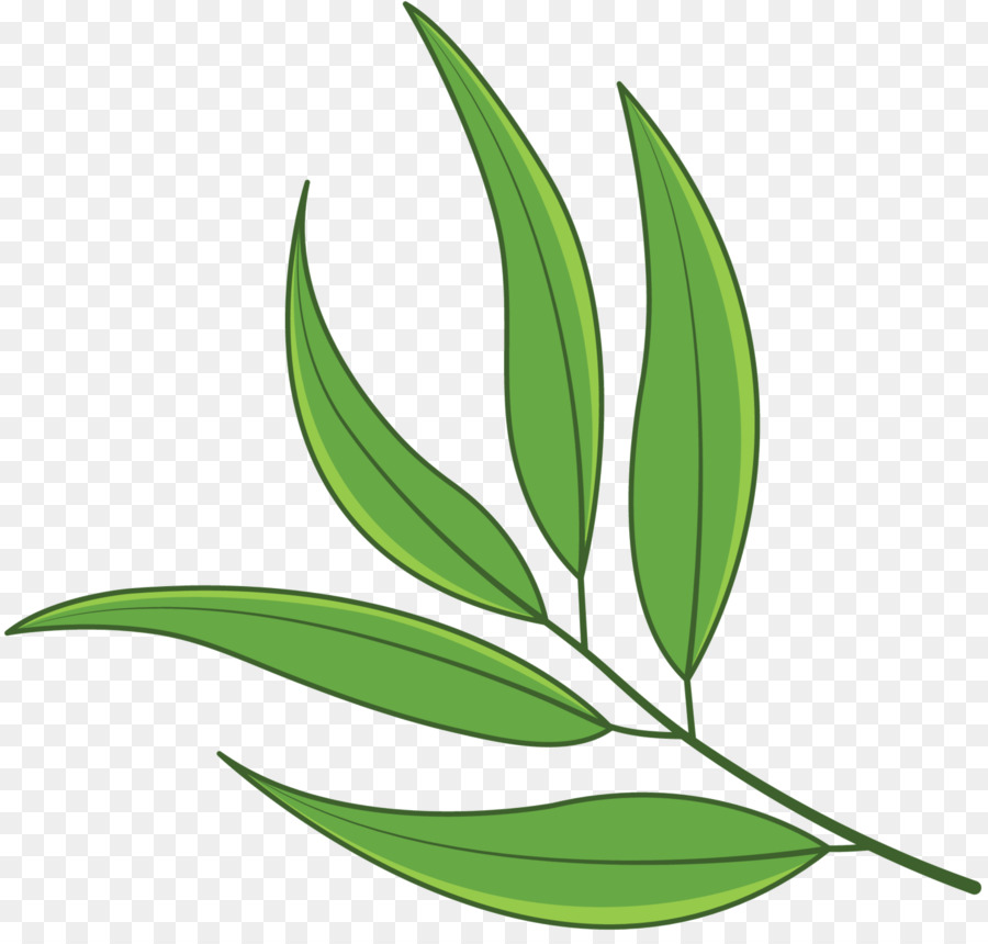 Hoja，Tallo De La Planta PNG