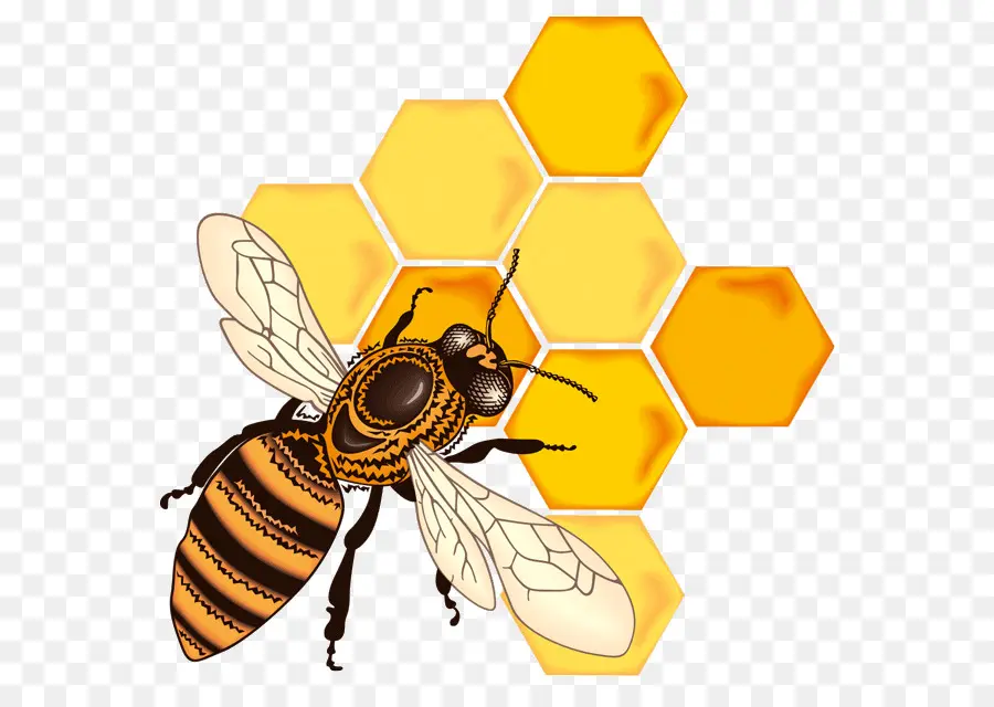 Abeja，Miel PNG