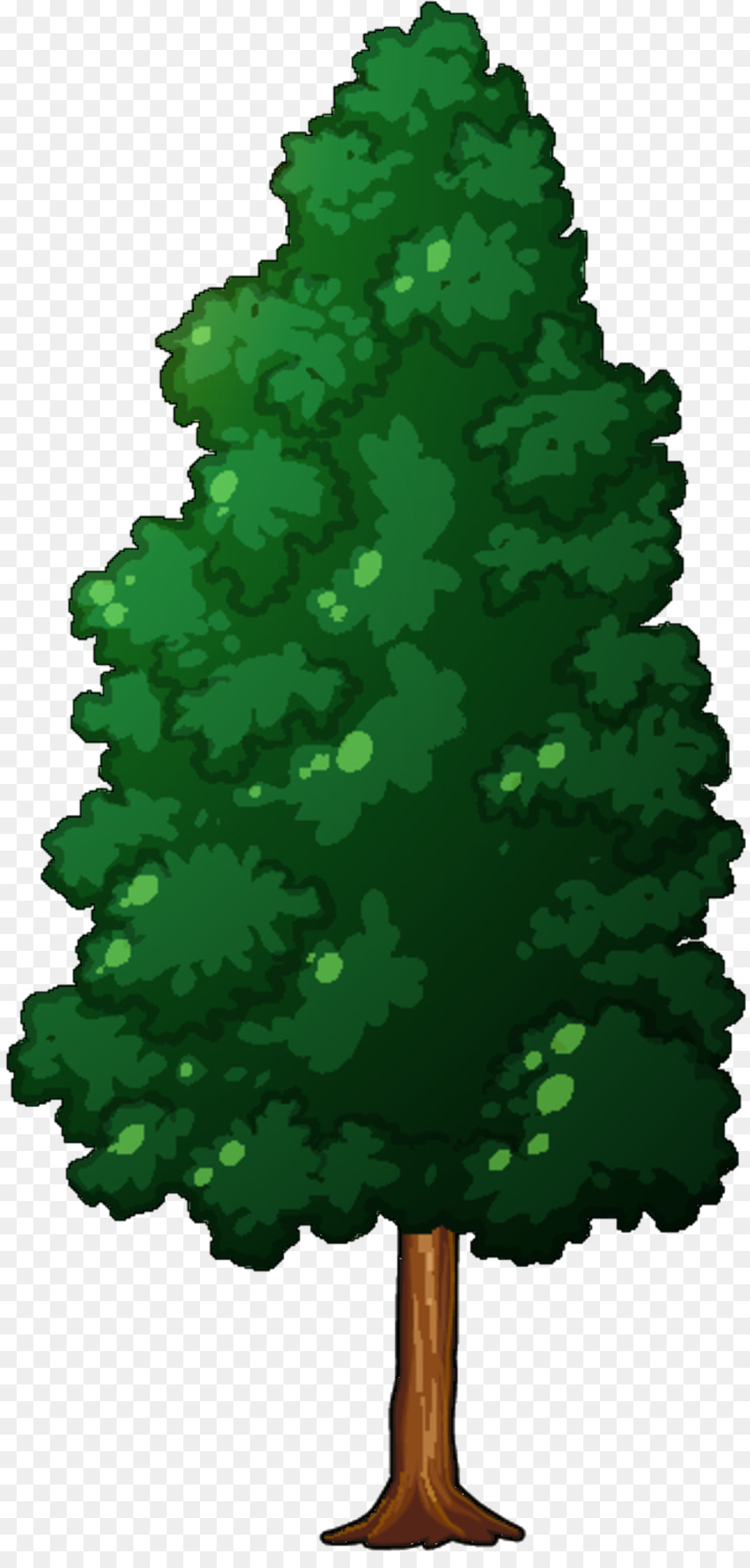 árbol Alto，Planta PNG