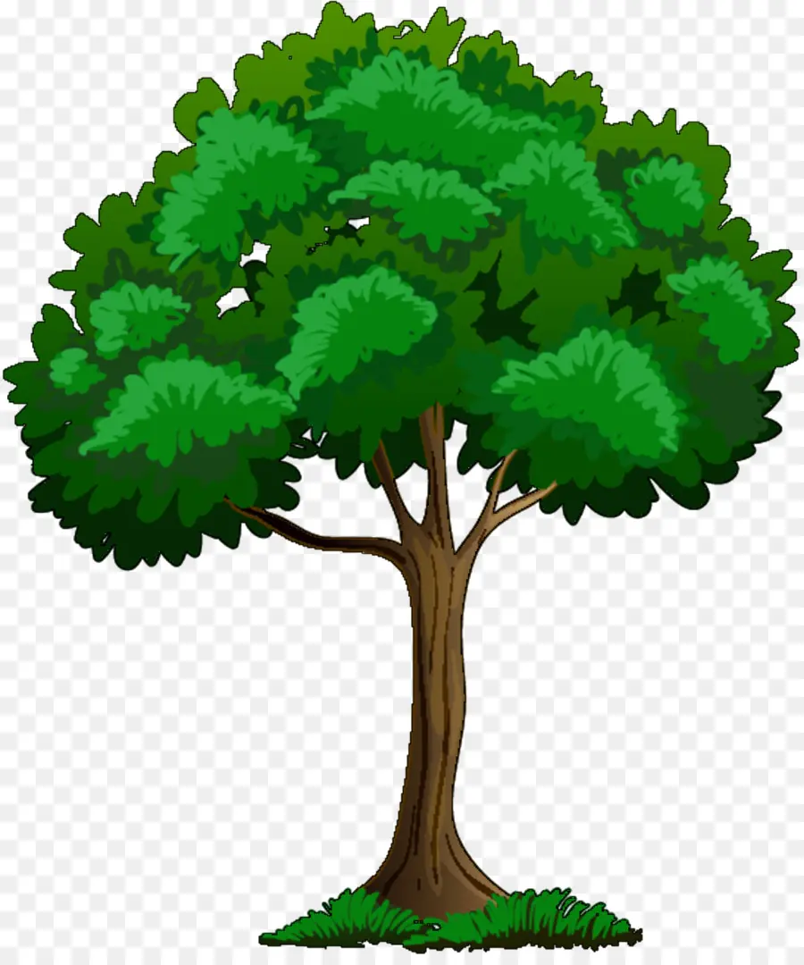 Árbol，Royaltyfree PNG