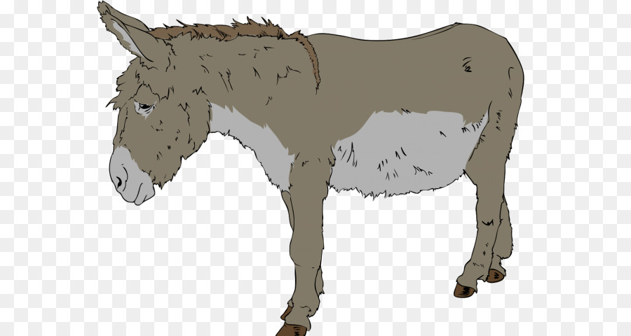 Burro，Dibujos Animados PNG