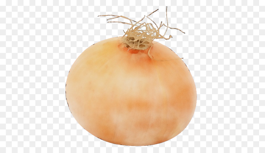 Calabaza De Invierno，Adorno De Navidad PNG