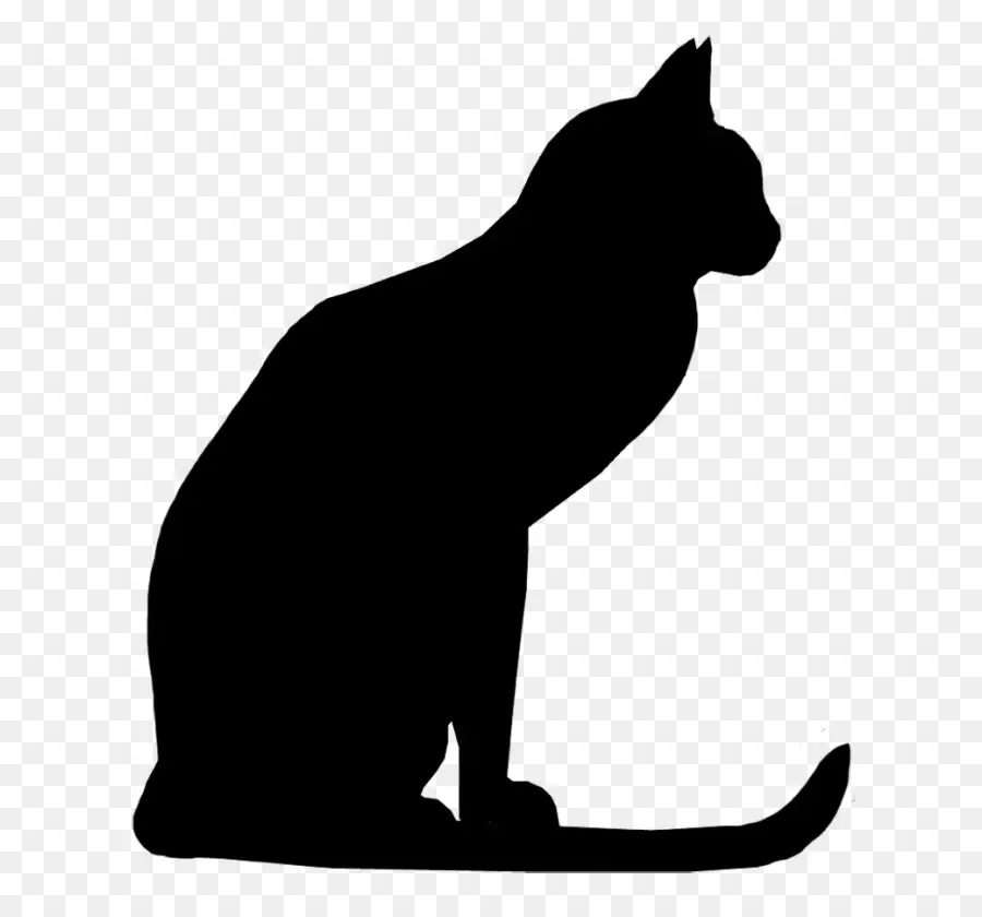 Gato，Silueta PNG