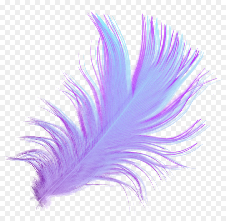 Pluma，Descargar PNG