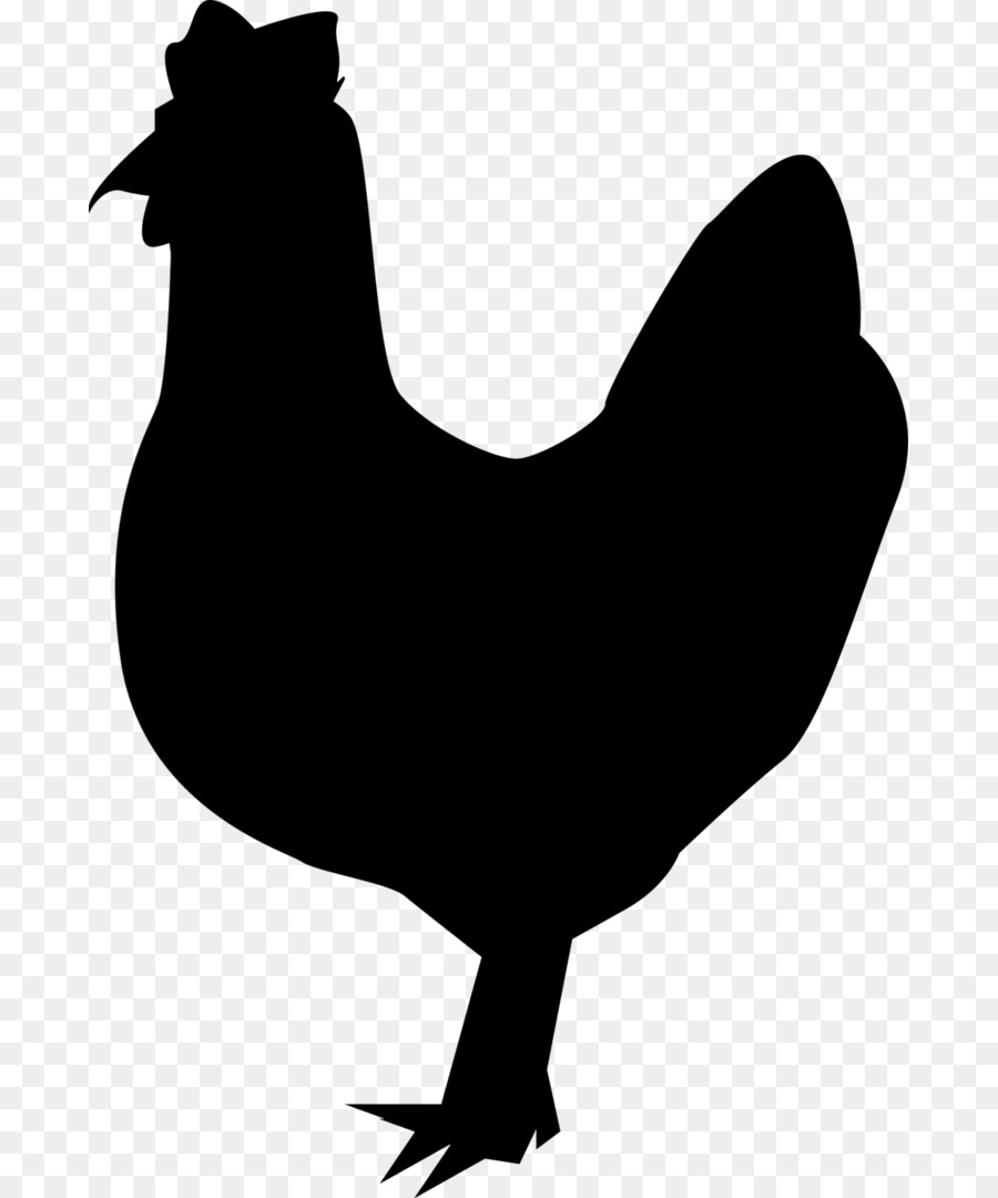 Pollo Leghorn，Silueta PNG