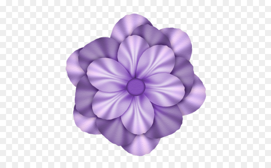 Flor Morada，Florecer PNG