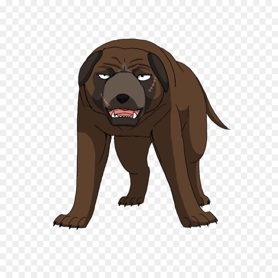 Labrador Retriever，Cachorro PNG