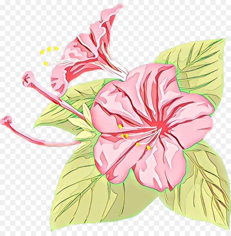 Rosemallows，Flor PNG