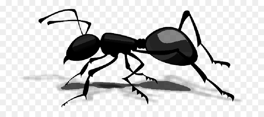 Hormiga，Atom Ant PNG