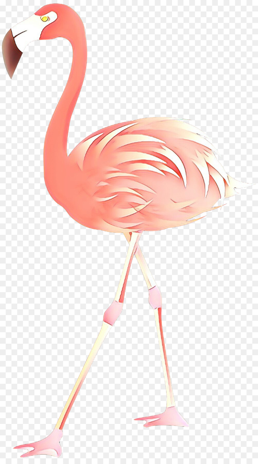 Flamingo，Fondo De Escritorio PNG