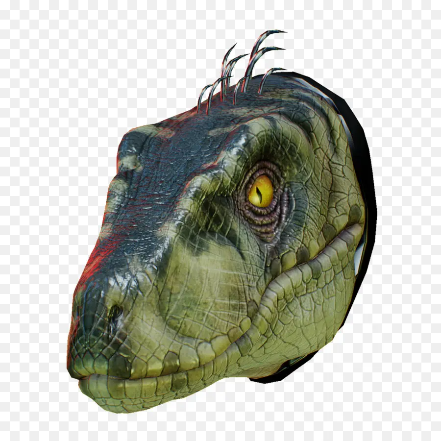 Velociraptor，Dinosaurio PNG