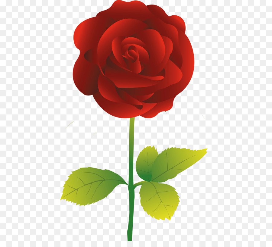 Rosa，Rojo PNG