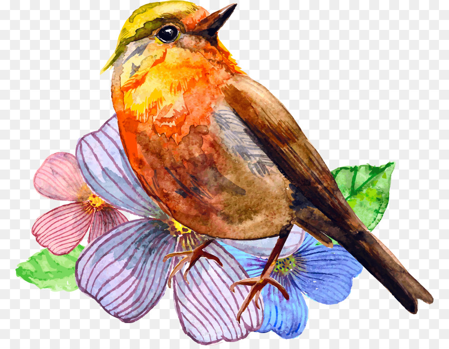 Pájaro，Acuarela PNG