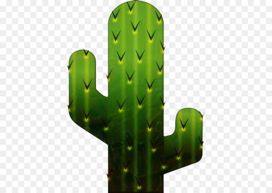 Cactus，Verde PNG