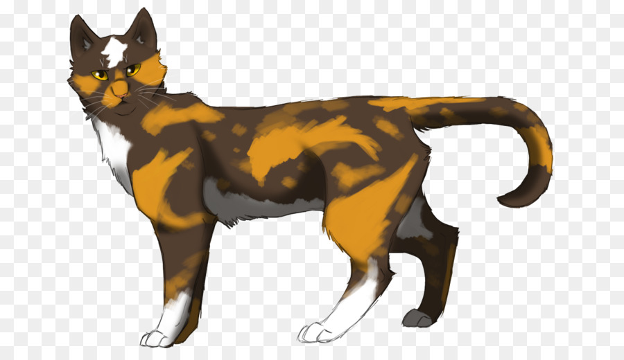 Gato，Los Gatos De Los Clanes PNG