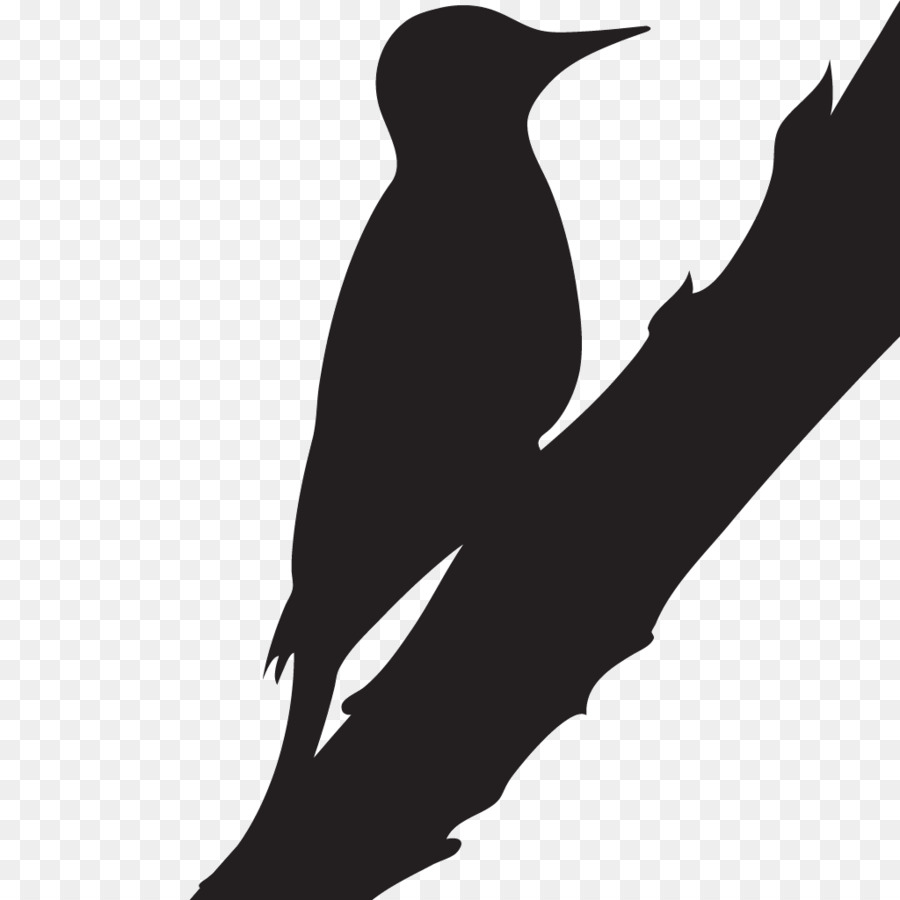 Woodpecker，Laboratorio De Ornitología De Cornell PNG