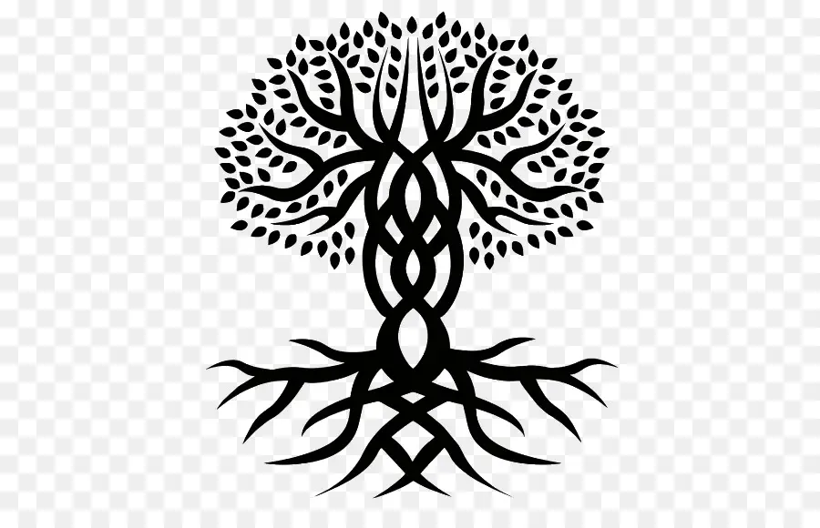 árbol De La Vida，Nudo Celta PNG