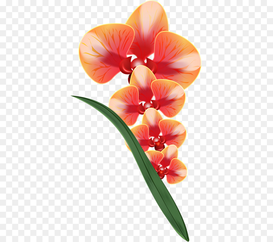 Dibujo，Flor PNG