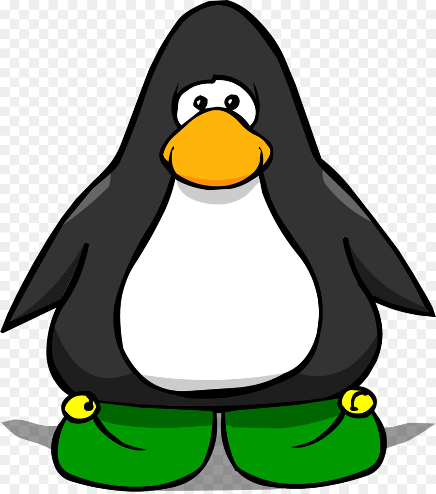 Zapato，Pingüino PNG