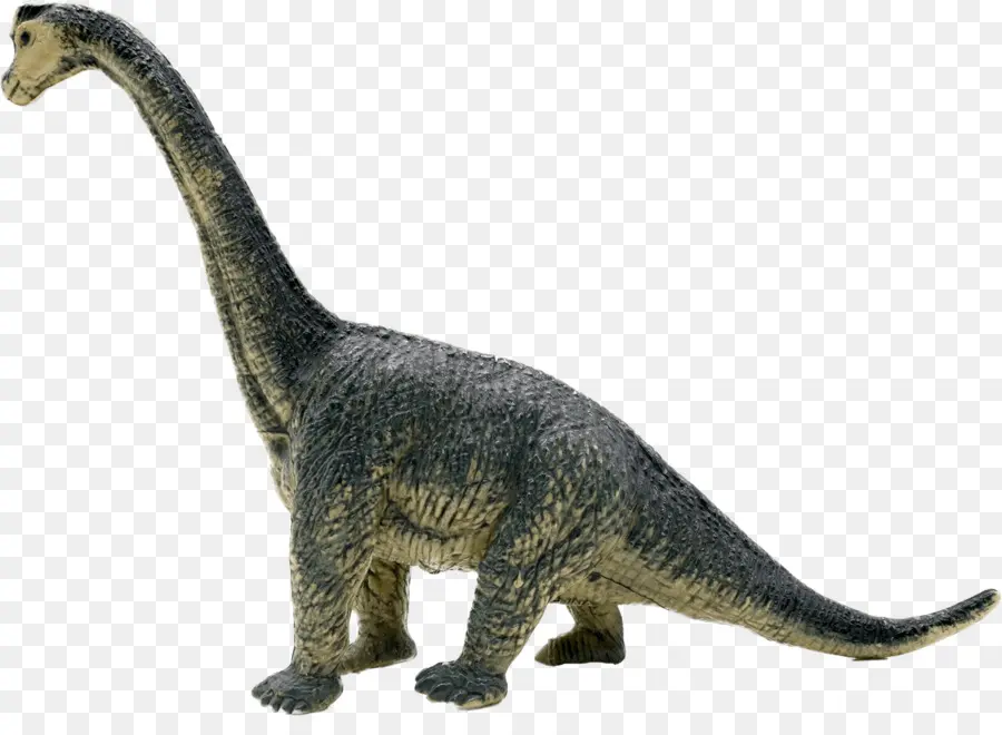 Brachiosaurus，Dinosaurio PNG