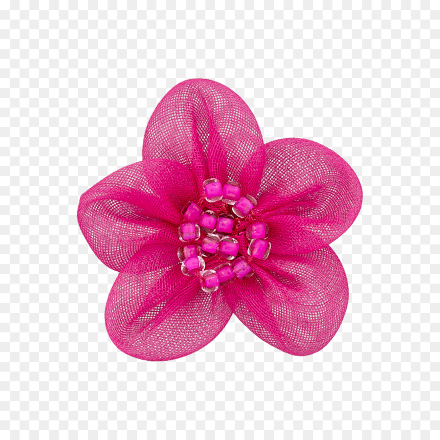 Rosa M，Pétalo PNG